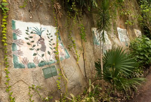 A view of the wall of vegetalistas paintings set in the rainforest biome